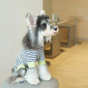 ストライプ カジュアル 4足型 ベース 小型犬 ペット服 シュナウザー 犬服 秋冬 4足衣 かわいい ID2476