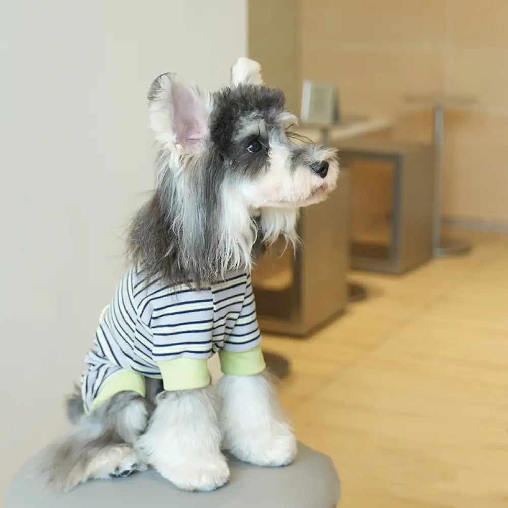 ストライプ カジュアル 4足型 ベース 小型犬 ペット服 シュナウザー 犬服 秋冬 4足衣 かわいい ID2476