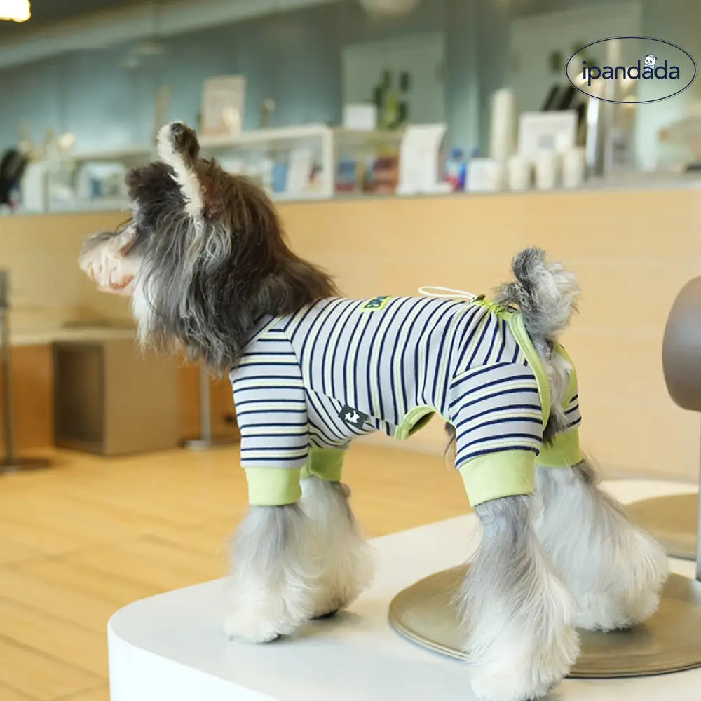 ストライプ カジュアル 4足型 ベース 小型犬 ペット服 シュナウザー 犬服 秋冬 4足衣 かわいい ID2476