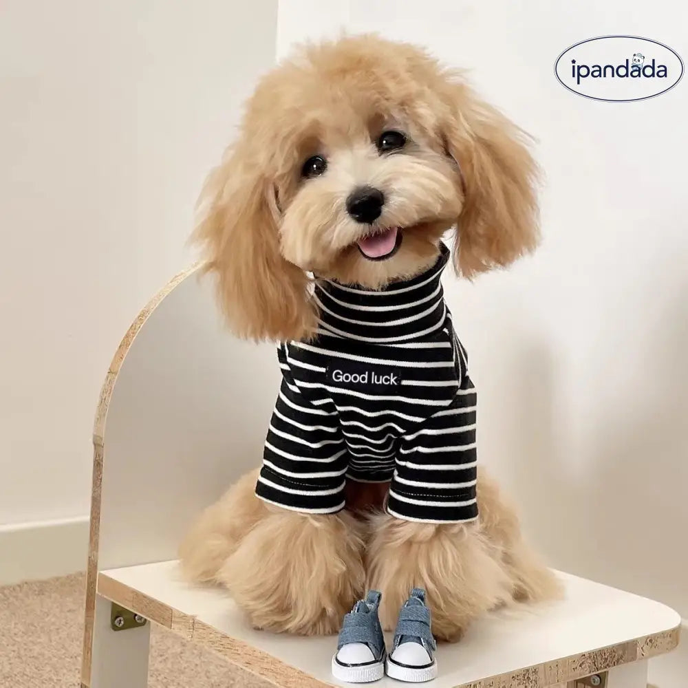 テディシュナウザー ストライプ 保温ウェア 秋冬 ペット 犬用 フリース インナーウェア マルチーズ ビション フリーゼ ヨークシャーテリア ID3939