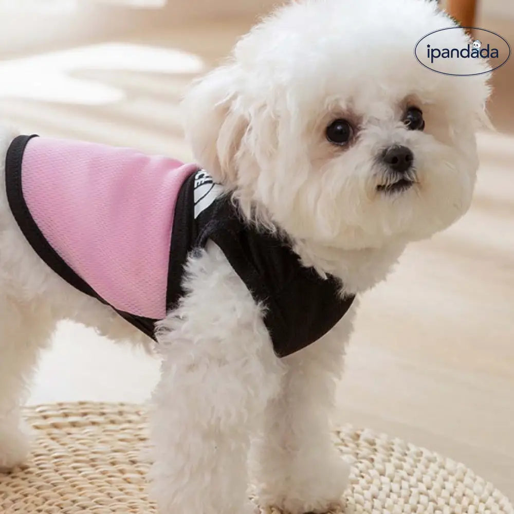 ID388 THE PET FACE メッシュタンクトップ 犬 犬服 ケーブル切り替え 涼しい 着せやすい おしゃれ かわいい 小型犬 中型犬 洋服 汚れ防止 メッシュ通気 ペット用品＞ウェア