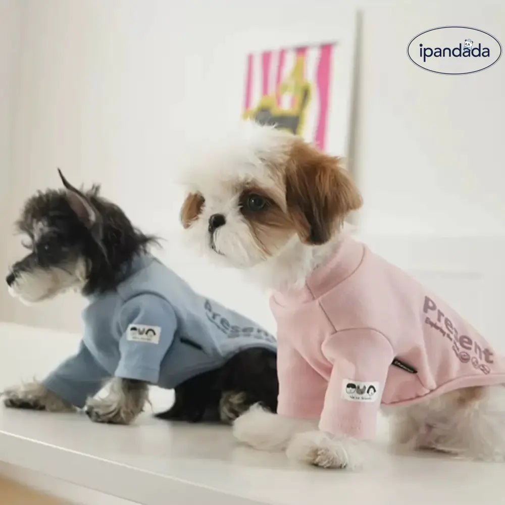 【五色展開】犬服 春 秋冬 小型犬 Tシャツ カットソー ペット 服 ペットウェア 可愛い 男の子 女の子 着せやすい暖かい 大人気 ペット用品＞ウェア