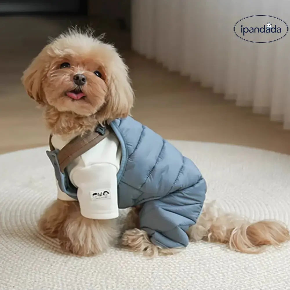 【五色展開】犬服 春 秋冬 小型犬 Tシャツ カットソー ペット 服 ペットウェア 可愛い 男の子 女の子 着せやすい暖かい 大人気 ペット用品＞ウェア