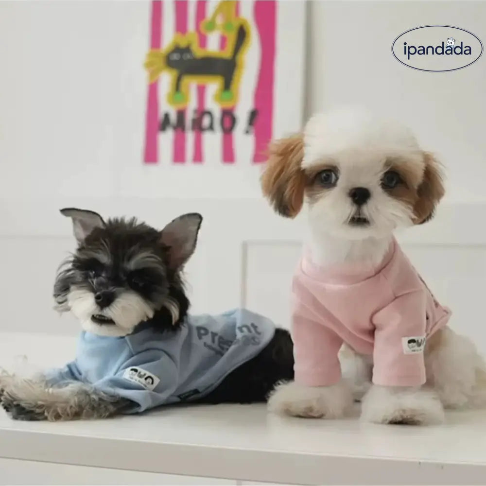 【五色展開】犬服 春 秋冬 小型犬 Tシャツ カットソー ペット 服 ペットウェア 可愛い 男の子 女の子 着せやすい暖かい 大人気 ペット用品＞ウェア
