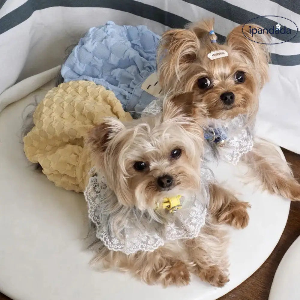ID1359 夏用 韓国風 カラーブロック パンプキンドレス 立体ボリュームスカート ペットドレス 犬猫兼用 薄手軽量 ふわふわ肌触り 通気性抜群 抗菌 プリンセス かわいい