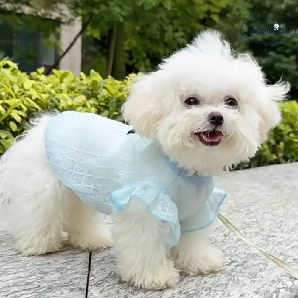 ID1170 夏用 メッシュベスト 犬猫用 通気性抜群 日よけ クール 半袖 レースカット かわいい 小型犬 猫 暑さ対策 ペット用品＞ウェア