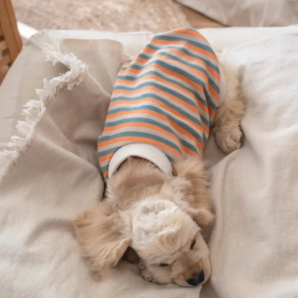 小型犬服 かわいい ドッグウェア ボーダー ペット おしゃれ 伸縮性あり 洋服 可愛い 春夏 インスタ映え お出掛け お散歩 お旅行 写真通り / XS（対応体重0.65-1.2KG） ペット用品＞ウェア