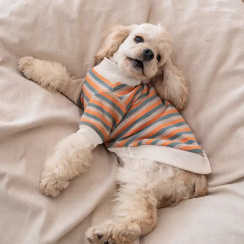 小型犬服 かわいい ドッグウェア ボーダー ペット おしゃれ 伸縮性あり 洋服 可愛い 春夏 インスタ映え お出掛け お散歩 お旅行 ペット用品＞ウェア
