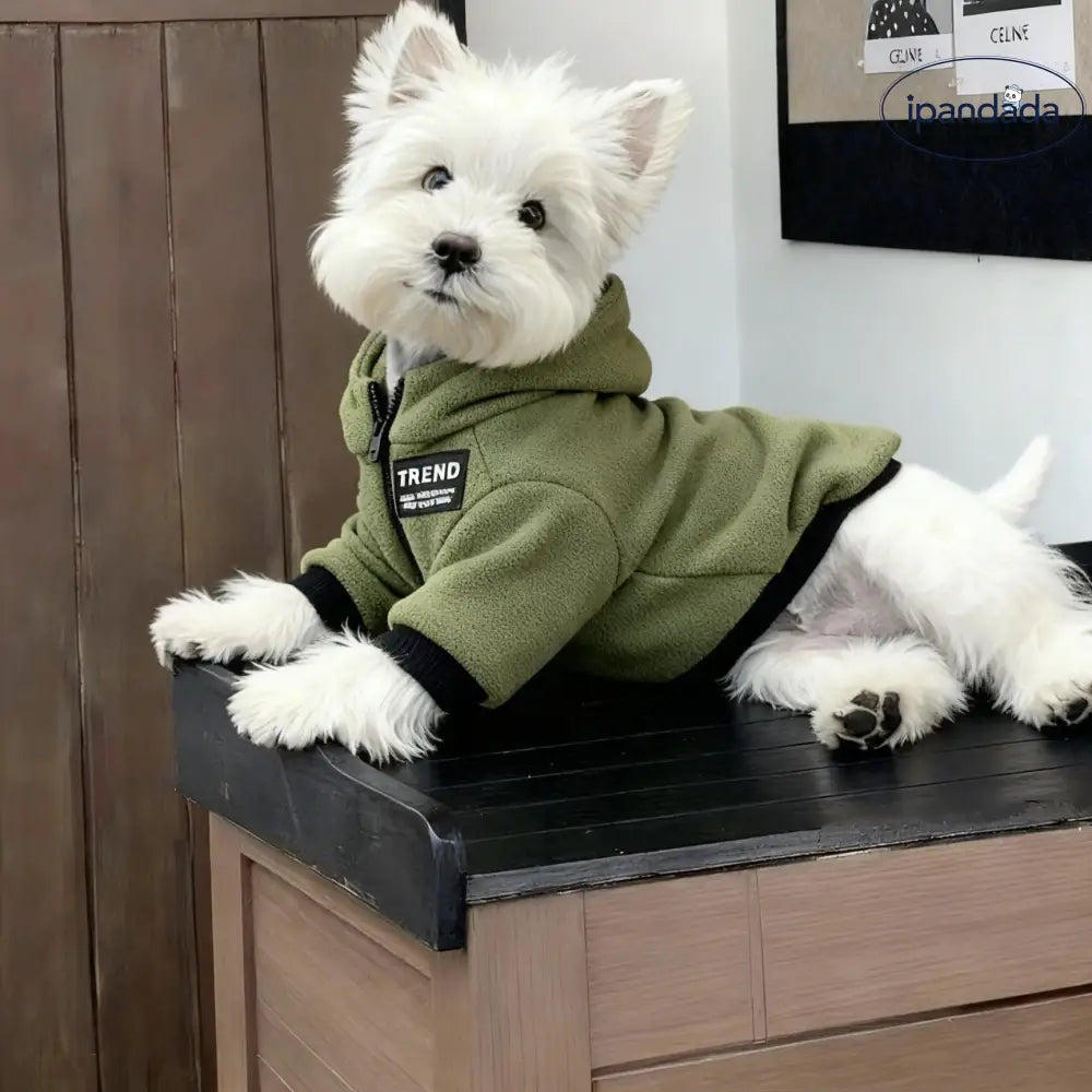 小型犬 中型犬 犬服 シュナウザー テディ ビション 秋冬用 保温 ペット ジッパー スウェットシャツ ID3022