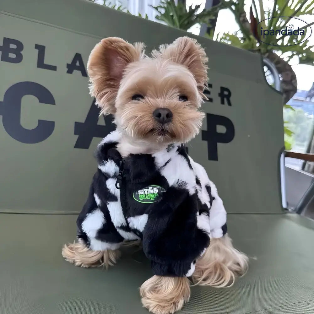 小型犬 中型犬 秋冬 ショート コート 黒白 牛柄 ジッパー 雪納瑞 ヨークシャー 犬服 ジップアップジャケット シュナウザー ID2504