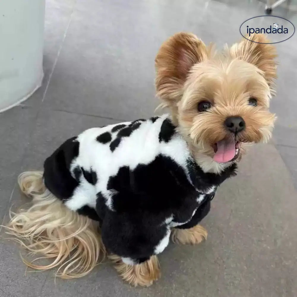 小型犬 中型犬 秋冬 ショート コート 黒白 牛柄 ジッパー 雪納瑞 ヨークシャー 犬服 ジップアップジャケット シュナウザー ID2504