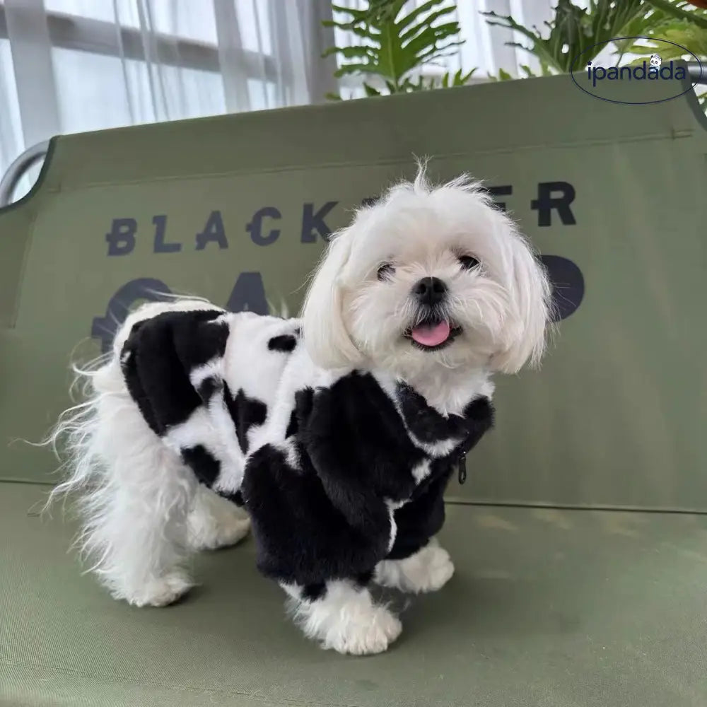 小型犬 中型犬 秋冬 ショート コート 黒白 牛柄 ジッパー 雪納瑞 ヨークシャー 犬服 ジップアップジャケット シュナウザー ID2504