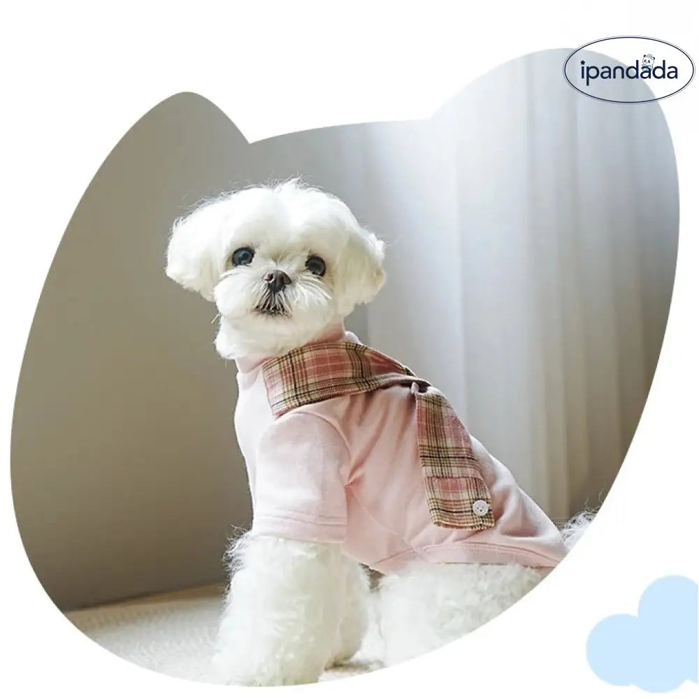 小中型犬服 秋冬 洋服 暖かい 長袖Tシャツ スウェット ロングTシャツ スタンダードシャツ ドッグウェア 部屋着 長袖 コットン製洋服 お散歩 お出かけ 防寒着 ハイネック 着脱簡単 可愛い おしゃれ ペットウェア ID2387