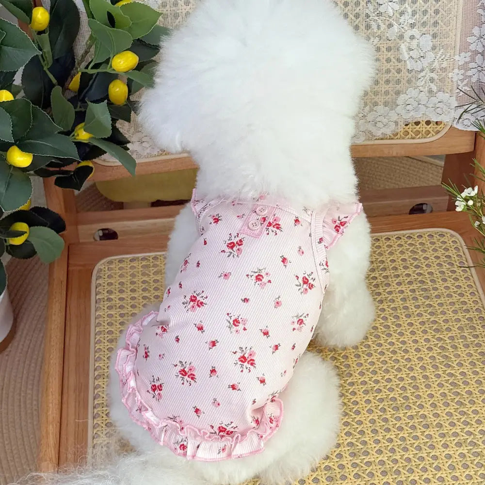 新作 猫 犬 プリント ルームウェア コットンワンピース テディベア ビション フリーゼ ペット衣服 ウェア ID2292 タイプ① / XS ペット用品＞ウェア