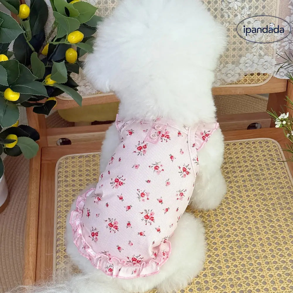 新作 猫 犬 プリント ルームウェア コットンワンピース テディベア ビション フリーゼ ペット衣服 ウェア ID2292