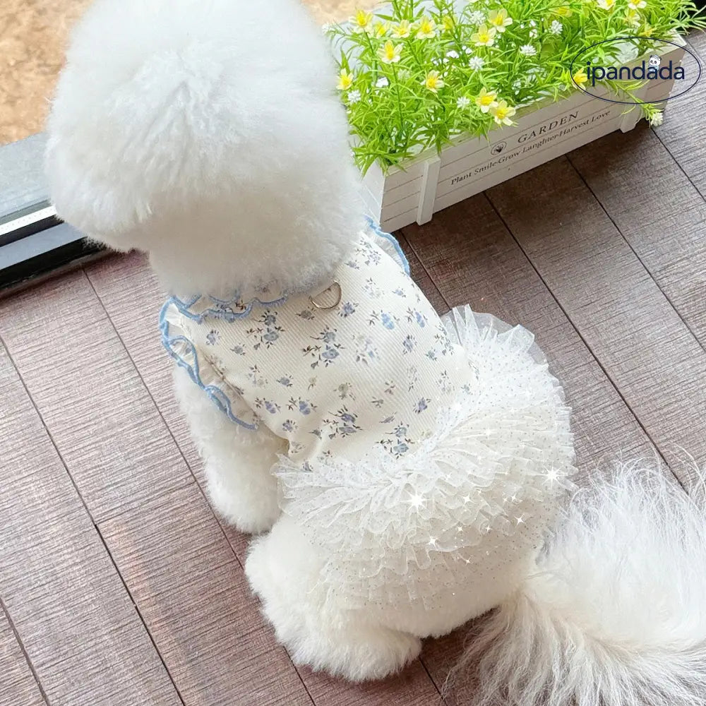 新作 猫 犬 プリント ルームウェア コットンワンピース テディベア ビション フリーゼ ペット衣服 ウェア ID2292