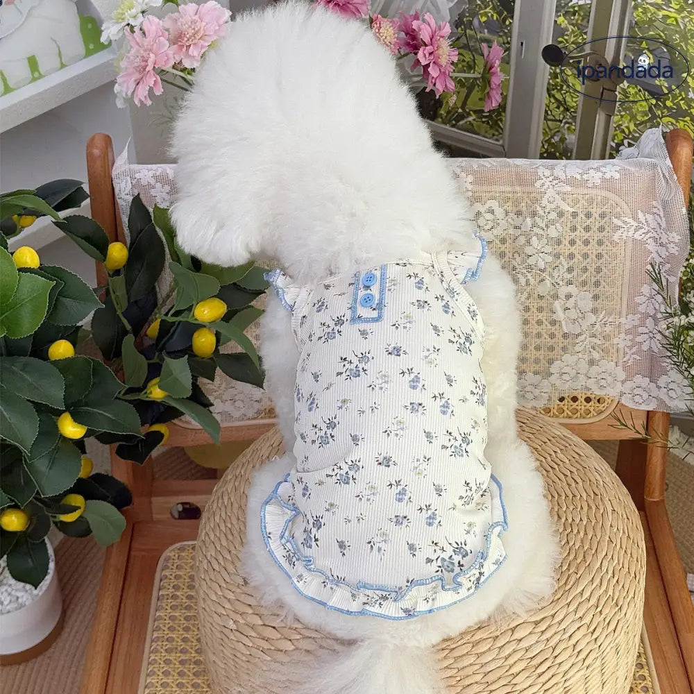 新作 猫 犬 プリント ルームウェア コットンワンピース テディベア ビション フリーゼ ペット衣服 ウェア ID2292