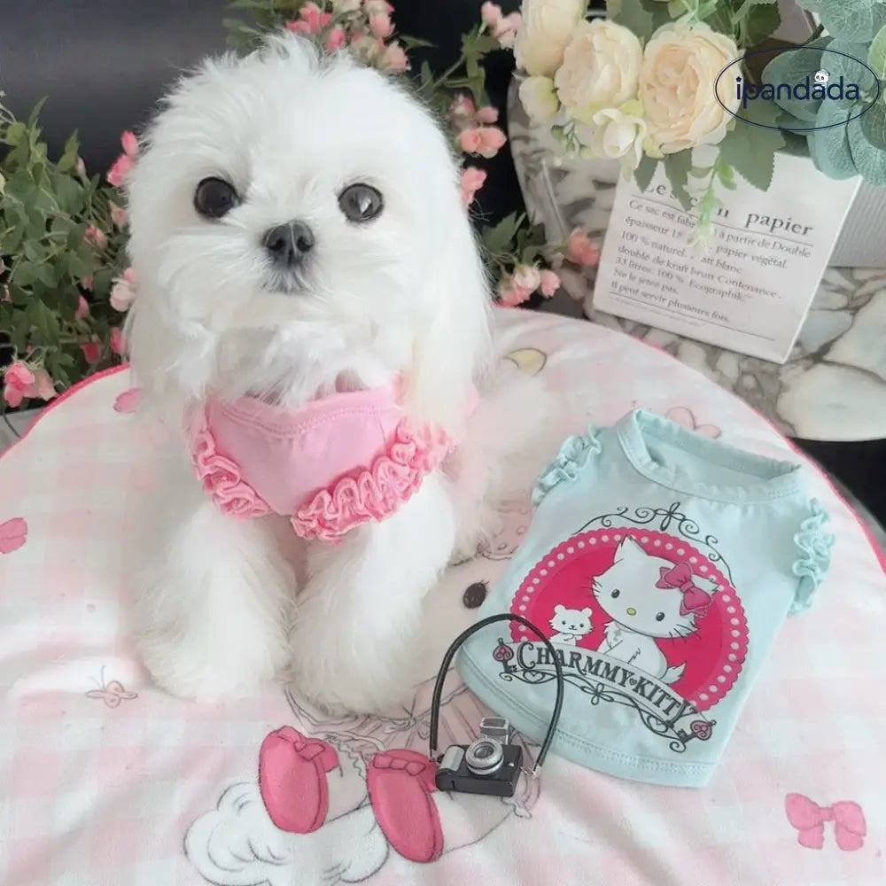 ID1670 新作 ペット服 キティちゃん ベスト クールウェア 外出用 UVカット 涼感 通気性 メッシュ 小型犬 猫用 洗える