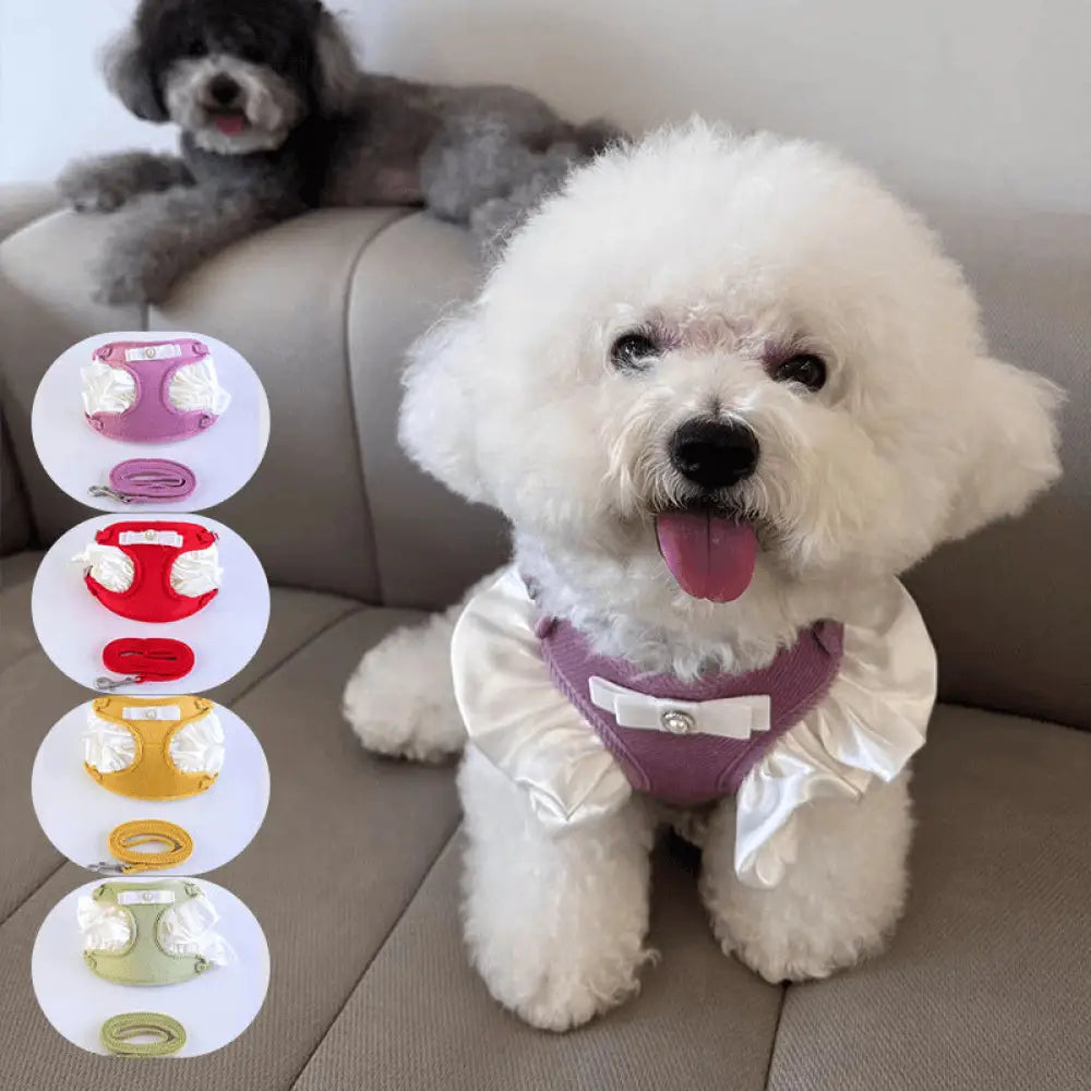 新作 レース ボウタイ ペット リード 中小型犬 外出用 リード フライスリーブ 犬用 チェストハーネス ウェア ID2315