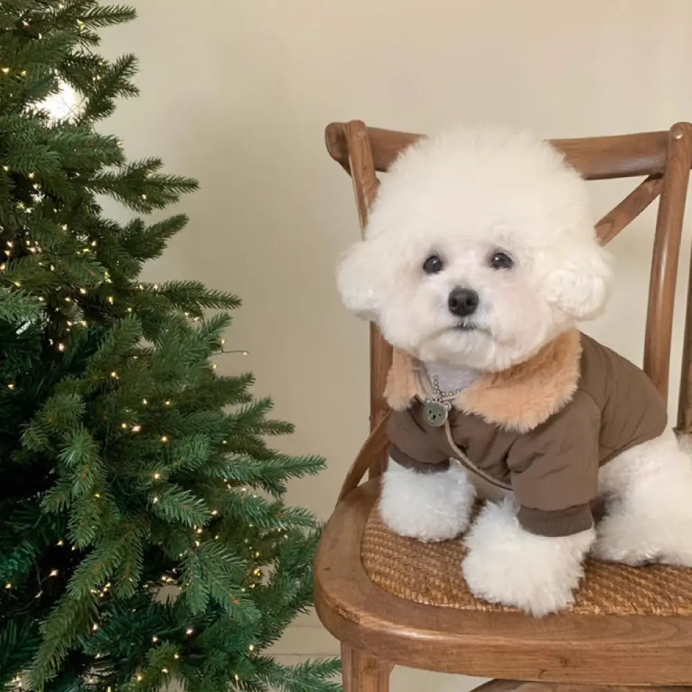 熊柄 犬服 秋冬 ドッグウェア 秋用 冬用 おしゃれ シンプル かわいい 暖かい 抜け毛防止 犬洋服 小型犬 中型犬 ブラウン / XS ペット用品＞ウェア