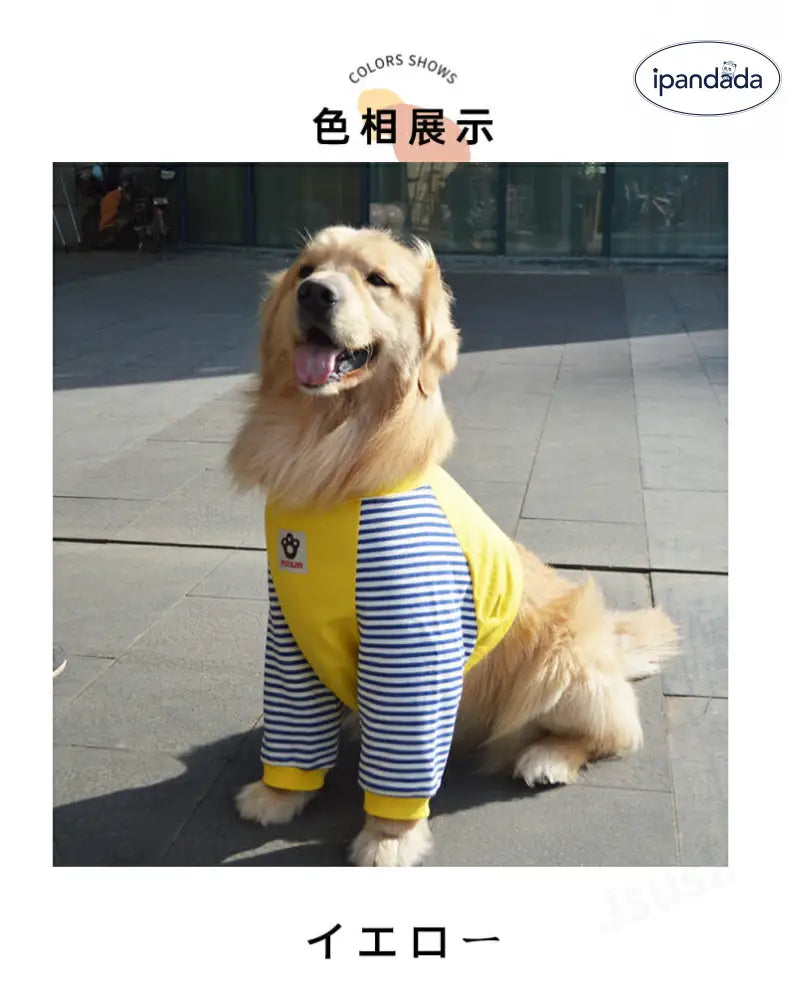 中/大型犬用術後ウェア イヌ術後服 術後着 肘関節保護服 傷舐め防止 エリザベスカラーに代わる 避妊 去勢 離乳 手術 皮膚保護 男女用 抜け毛対策 ドッグウエア Tシャツ パーカー 抜け毛防止 ID2386