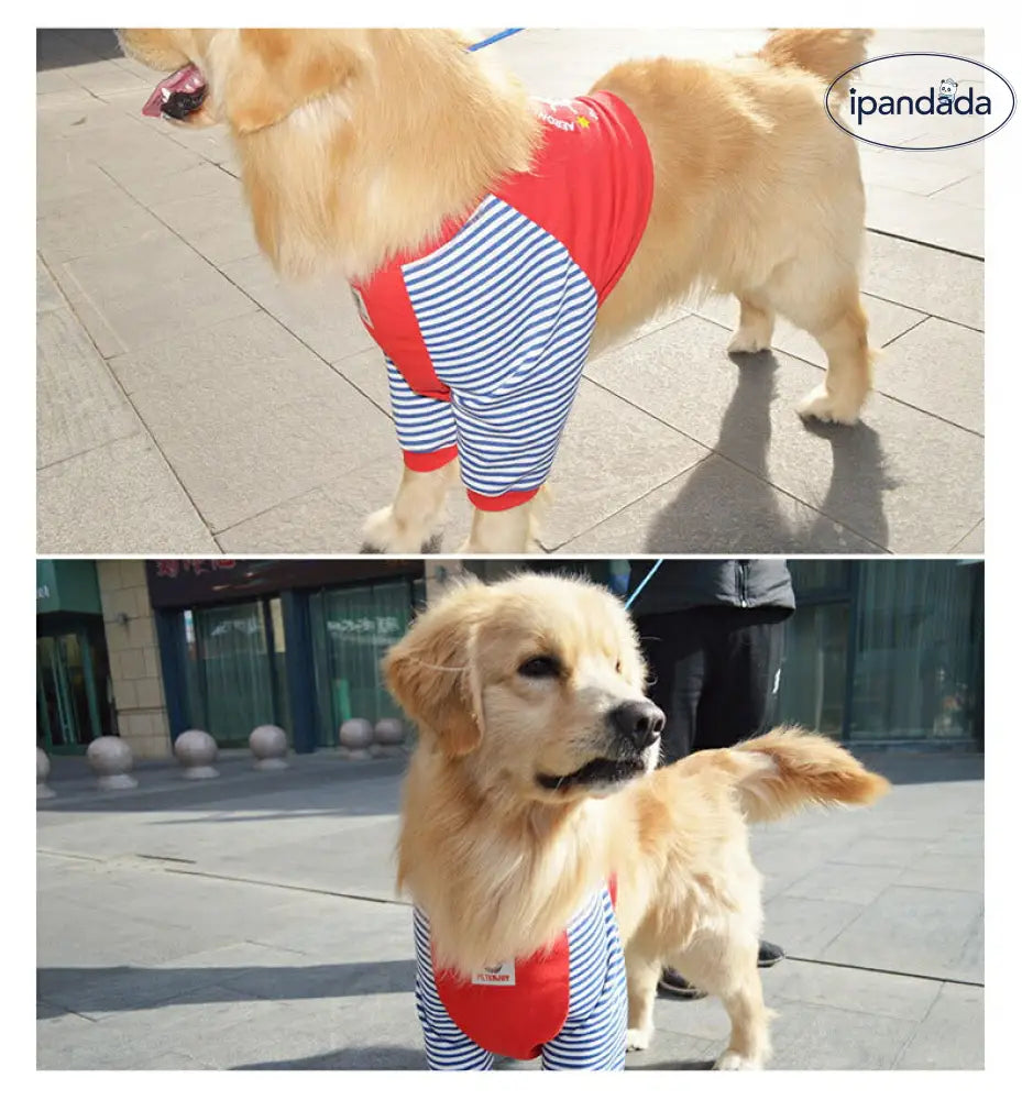 中/大型犬用術後ウェア イヌ術後服 術後着 肘関節保護服 傷舐め防止 エリザベスカラーに代わる 避妊 去勢 離乳 手術 皮膚保護 男女用 抜け毛対策 ドッグウエア Tシャツ パーカー 抜け毛防止 ID2386