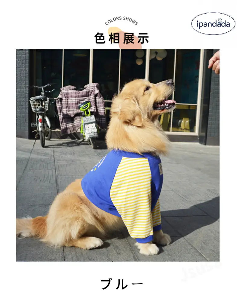 中/大型犬用術後ウェア イヌ術後服 術後着 肘関節保護服 傷舐め防止 エリザベスカラーに代わる 避妊 去勢 離乳 手術 皮膚保護 男女用 抜け毛対策 ドッグウエア Tシャツ パーカー 抜け毛防止 ID2386