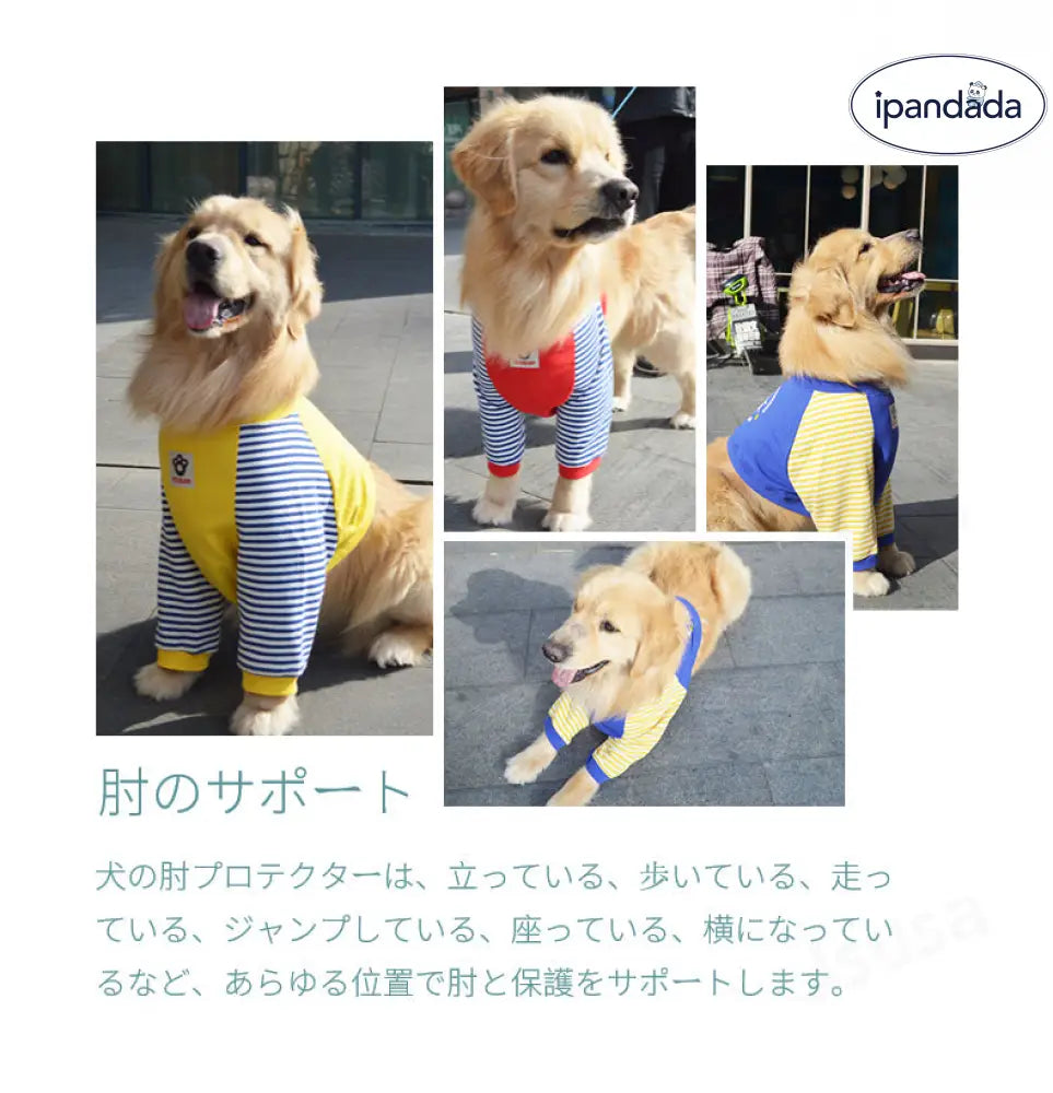 中/大型犬用術後ウェア イヌ術後服 術後着 肘関節保護服 傷舐め防止 エリザベスカラーに代わる 避妊 去勢 離乳 手術 皮膚保護 男女用 抜け毛対策 ドッグウエア Tシャツ パーカー 抜け毛防止 ID2386