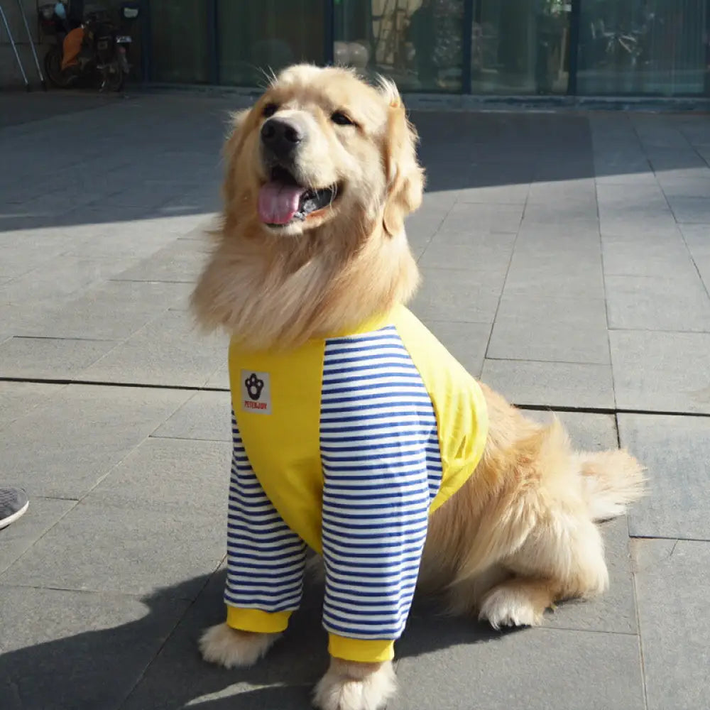 中/大型犬用術後ウェア イヌ術後服 術後着 肘関節保護服 傷舐め防止 エリザベスカラーに代わる 避妊 去勢 離乳 手術 皮膚保護 男女用 抜け毛対策 ドッグウエア Tシャツ パーカー 抜け毛防止 ID2386 イエロー / 3XL