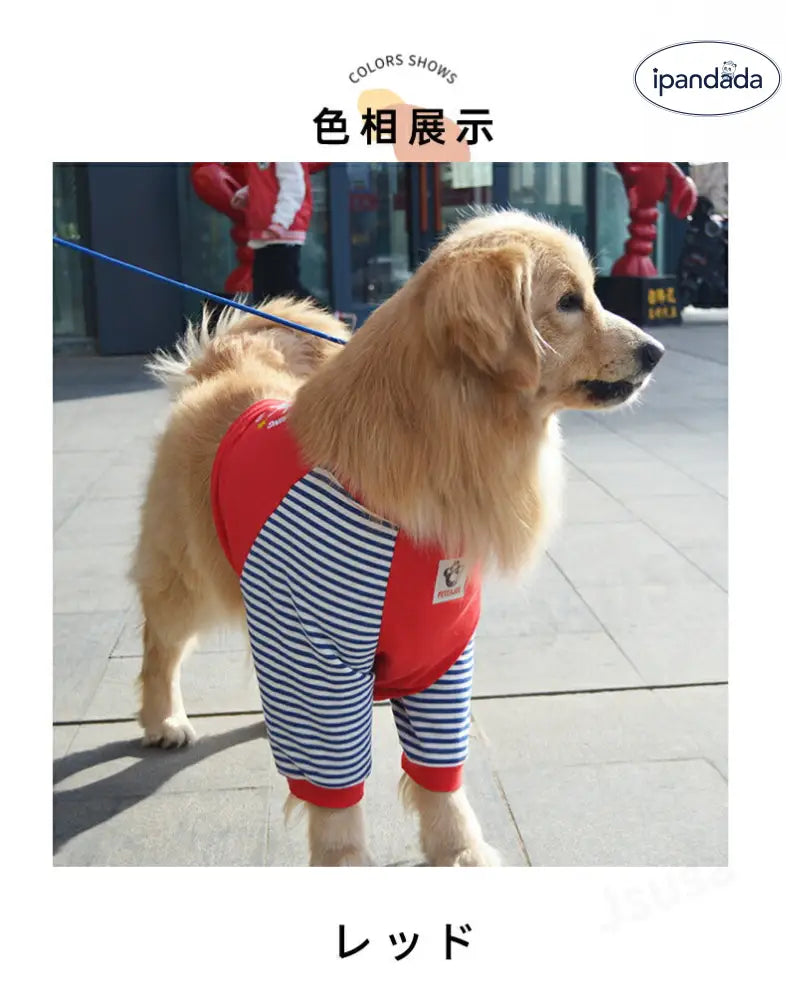 中/大型犬用術後ウェア イヌ術後服 術後着 肘関節保護服 傷舐め防止 エリザベスカラーに代わる 避妊 去勢 離乳 手術 皮膚保護 男女用 抜け毛対策 ドッグウエア Tシャツ パーカー 抜け毛防止 ID2386