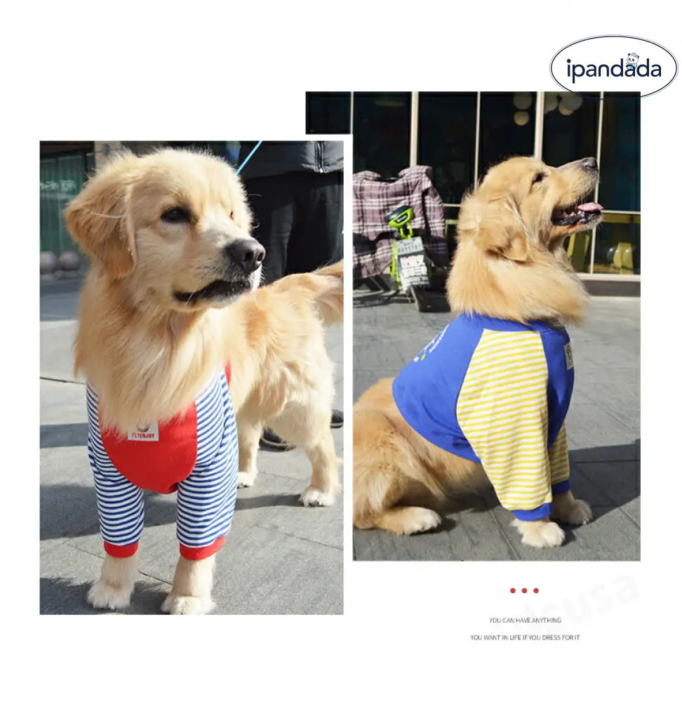 中/大型犬用術後ウェア イヌ術後服 術後着 肘関節保護服 傷舐め防止 エリザベスカラーに代わる 避妊 去勢 離乳 手術 皮膚保護 男女用 抜け毛対策 ドッグウエア Tシャツ パーカー 抜け毛防止 ID2386