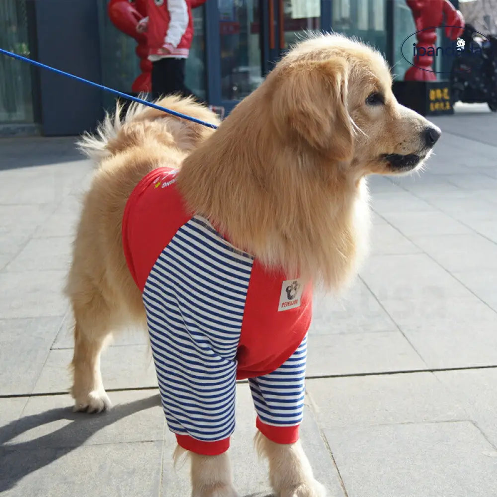 中/大型犬用術後ウェア イヌ術後服 術後着 肘関節保護服 傷舐め防止 エリザベスカラーに代わる 避妊 去勢 離乳 手術 皮膚保護 男女用 抜け毛対策 ドッグウエア Tシャツ パーカー 抜け毛防止 ID2386