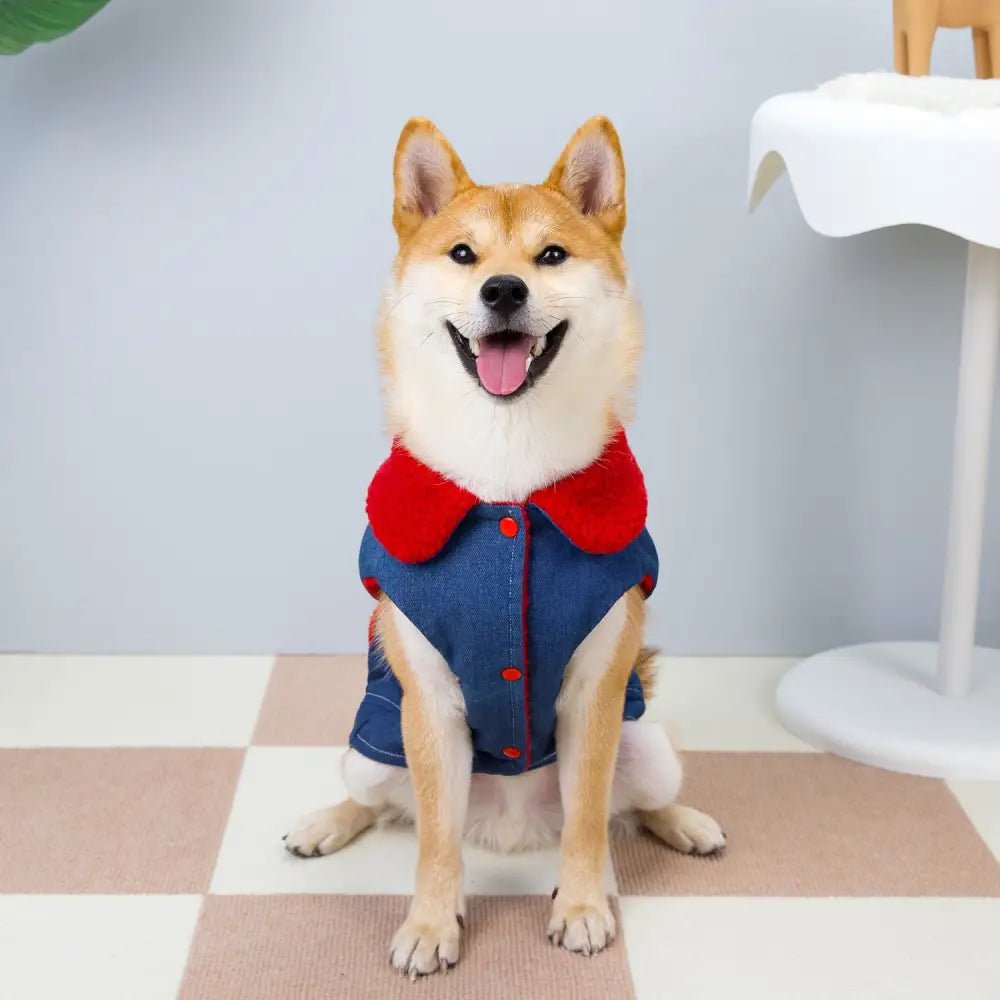 中型犬 大型犬 秋冬 デニム コットンジャケット 新作 しばいぬ ゴールデンレトリバー 犬用 保温 胸背付き ペットウェア ID3121