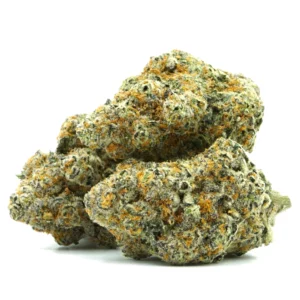 Gelato #41 Strain